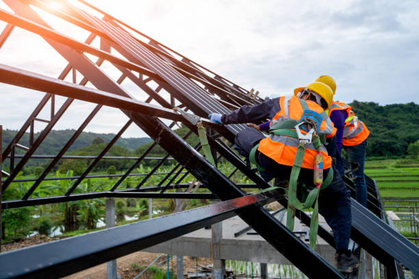 Best Commercial Roofing Services  in Pierce, CO