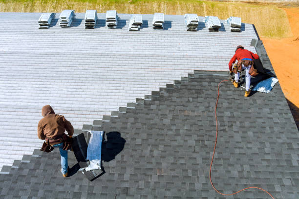 Best Commercial Roof Installation  in Pierce, CO