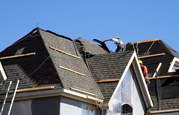 Best Storm Damage Roof Repair  in Pierce, CO